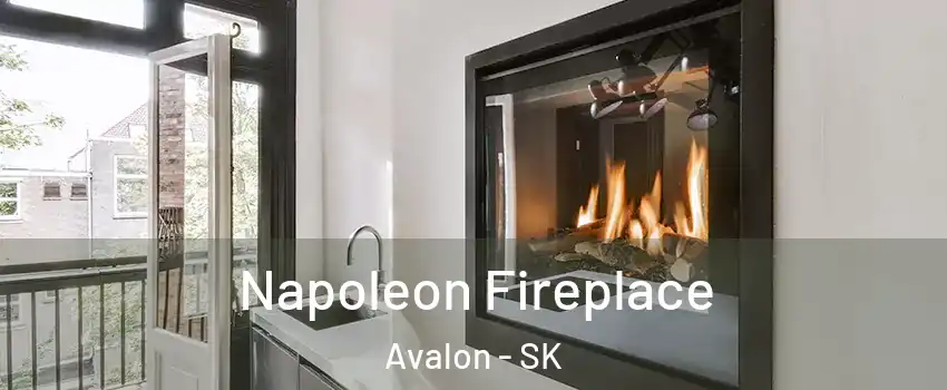  Napoleon Fireplace Avalon - SK