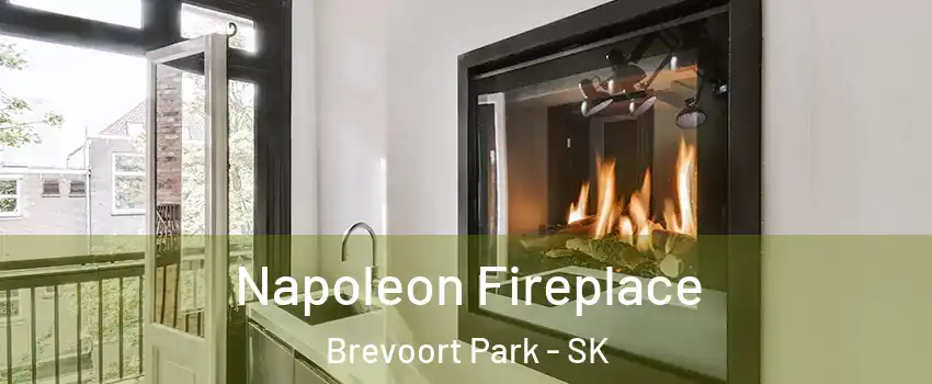  Napoleon Fireplace Brevoort Park - SK