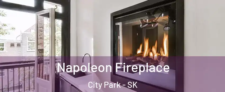  Napoleon Fireplace City Park - SK
