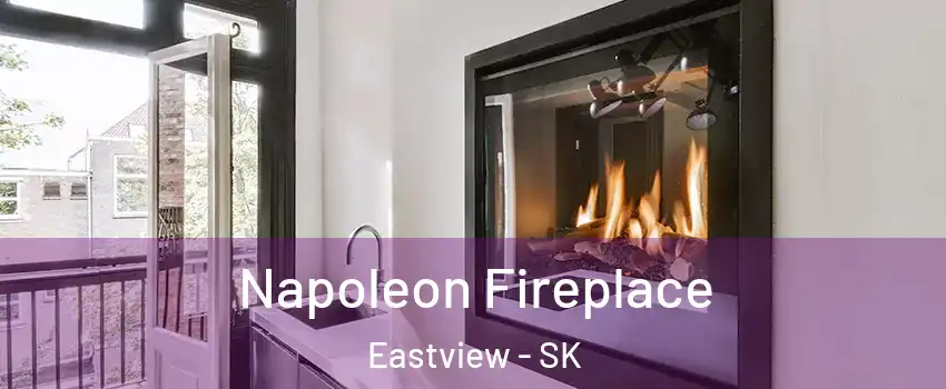  Napoleon Fireplace Eastview - SK