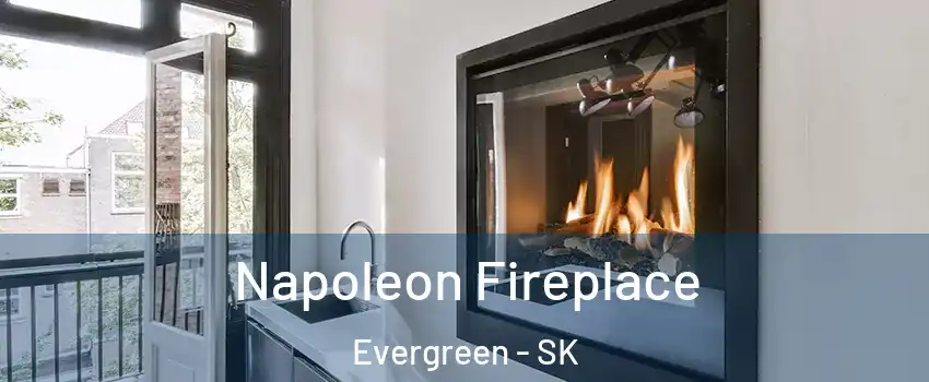  Napoleon Fireplace Evergreen - SK