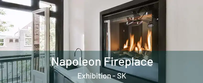  Napoleon Fireplace Exhibition - SK
