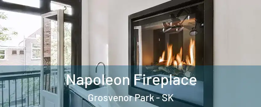  Napoleon Fireplace Grosvenor Park - SK