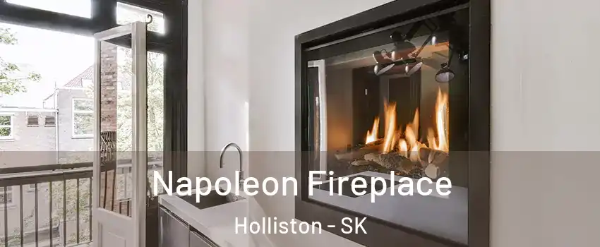  Napoleon Fireplace Holliston - SK