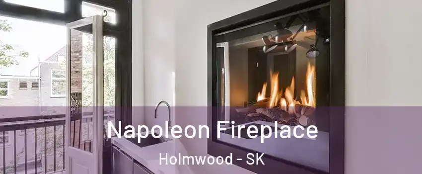  Napoleon Fireplace Holmwood - SK