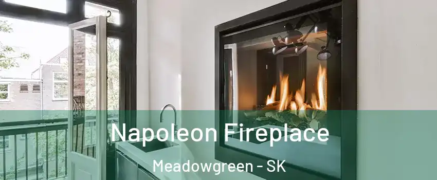  Napoleon Fireplace Meadowgreen - SK