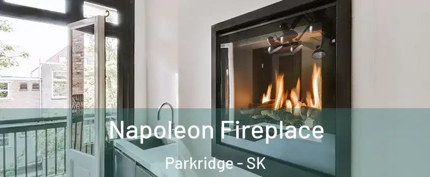  Napoleon Fireplace Parkridge - SK