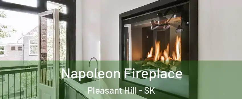  Napoleon Fireplace Pleasant Hill - SK