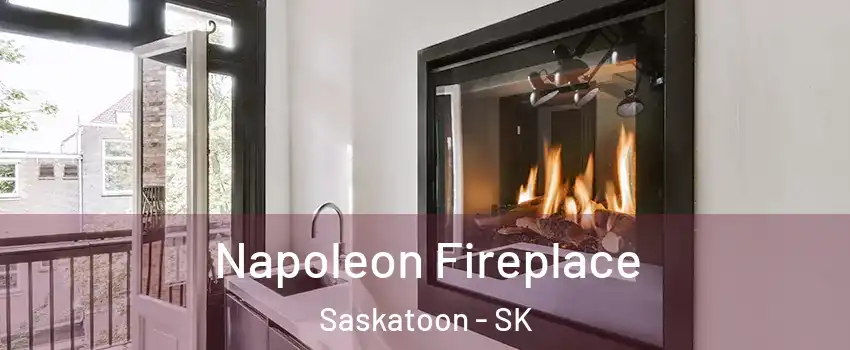  Napoleon Fireplace Saskatoon - SK