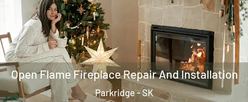  Open Flame Fireplace Repair And Installation Parkridge - SK