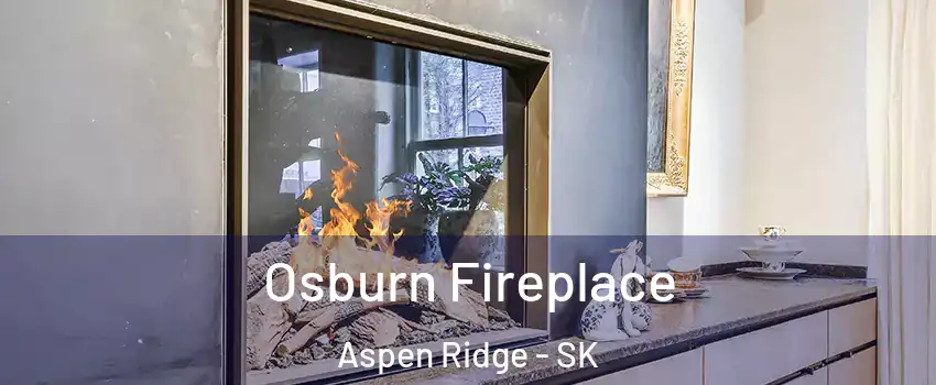  Osburn Fireplace Aspen Ridge - SK