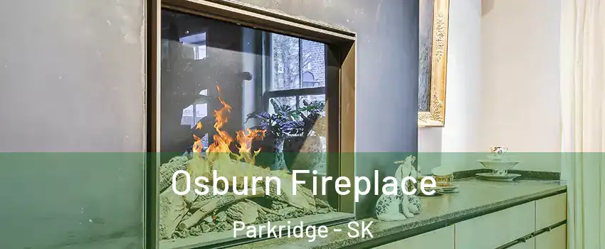  Osburn Fireplace Parkridge - SK