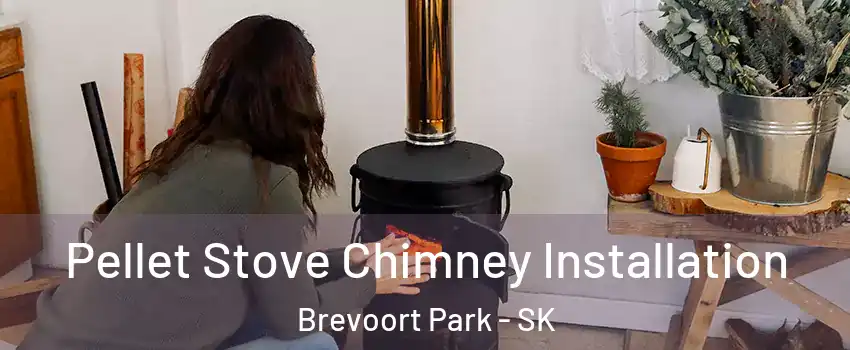  Pellet Stove Chimney Installation Brevoort Park - SK