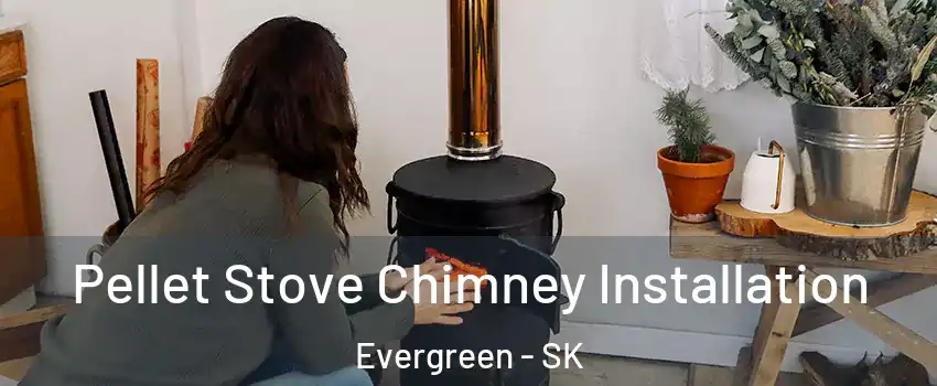  Pellet Stove Chimney Installation Evergreen - SK