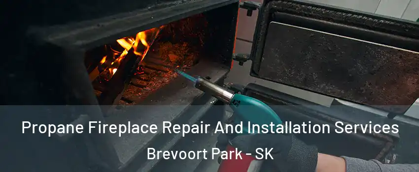 Propane Fireplace Repair And Installation Services Brevoort Park - SK