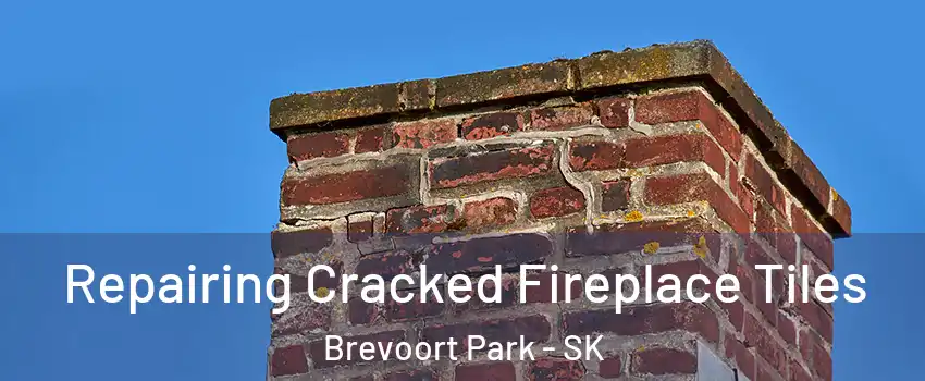  Repairing Cracked Fireplace Tiles Brevoort Park - SK