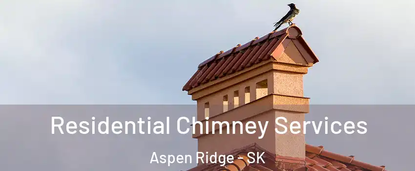  Residential Chimney Services Aspen Ridge - SK