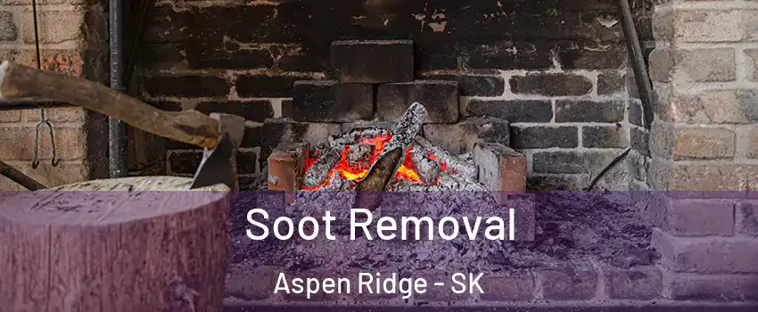  Soot Removal Aspen Ridge - SK