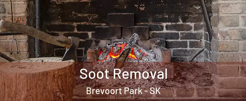  Soot Removal Brevoort Park - SK