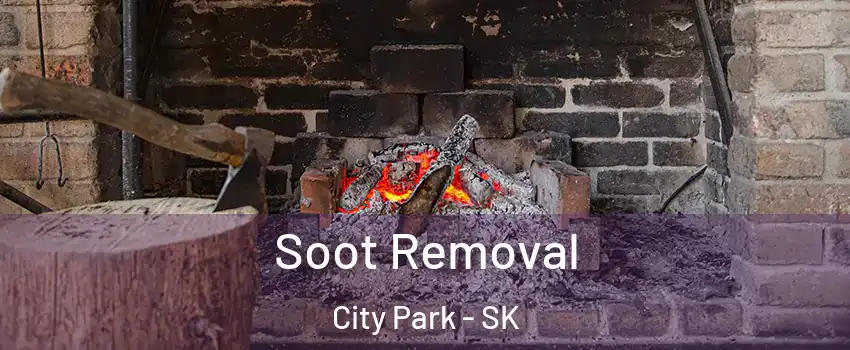  Soot Removal City Park - SK