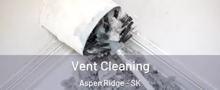  Vent Cleaning Aspen Ridge - SK