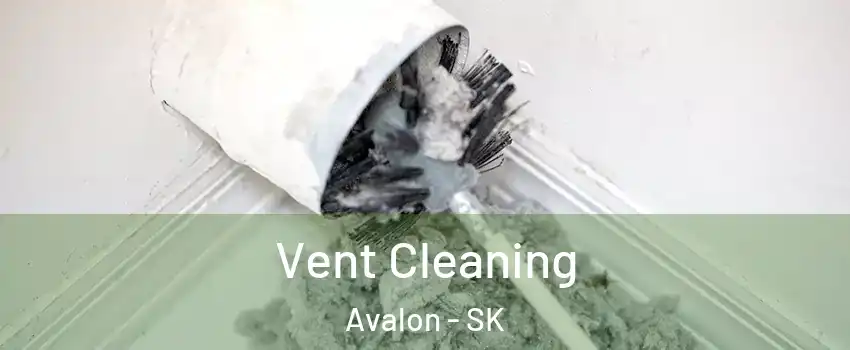  Vent Cleaning Avalon - SK