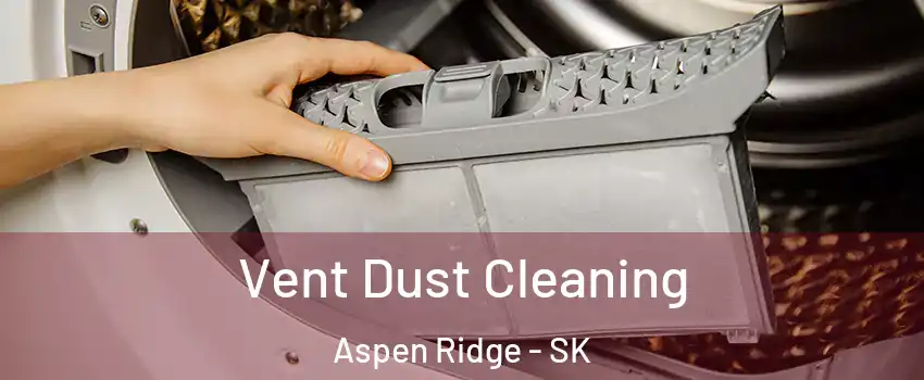  Vent Dust Cleaning Aspen Ridge - SK