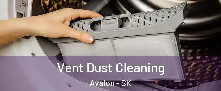  Vent Dust Cleaning Avalon - SK