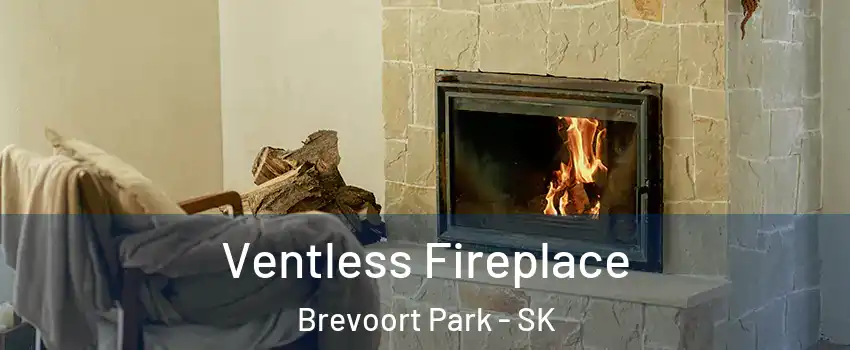  Ventless Fireplace Brevoort Park - SK