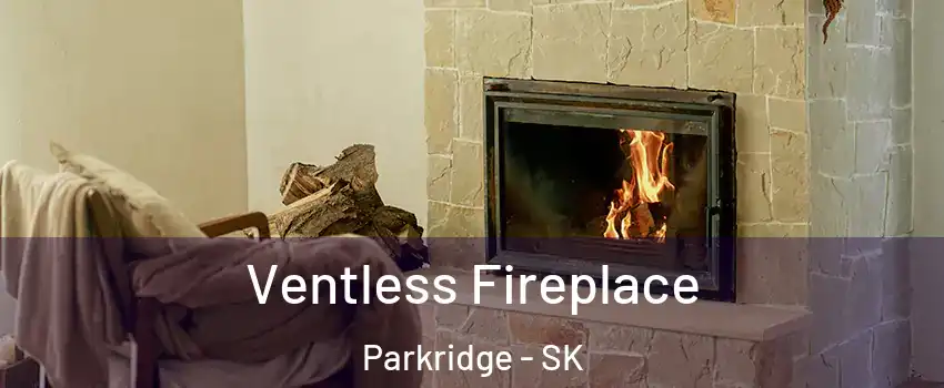  Ventless Fireplace Parkridge - SK