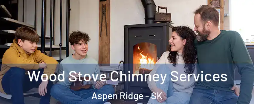  Wood Stove Chimney Services Aspen Ridge - SK