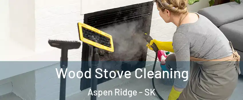  Wood Stove Cleaning Aspen Ridge - SK