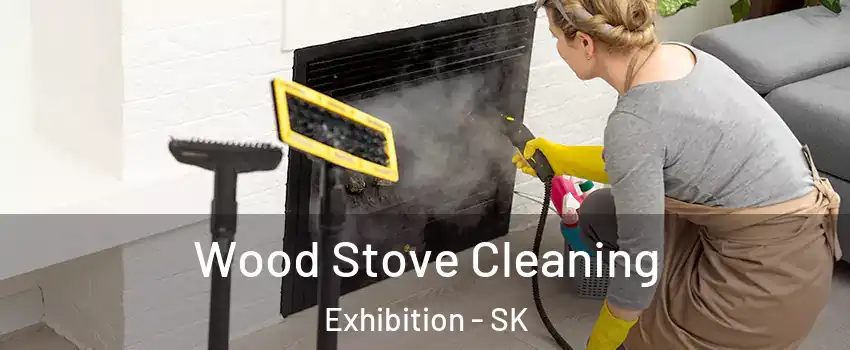  Wood Stove Cleaning Exhibition - SK