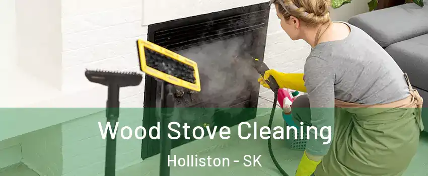  Wood Stove Cleaning Holliston - SK