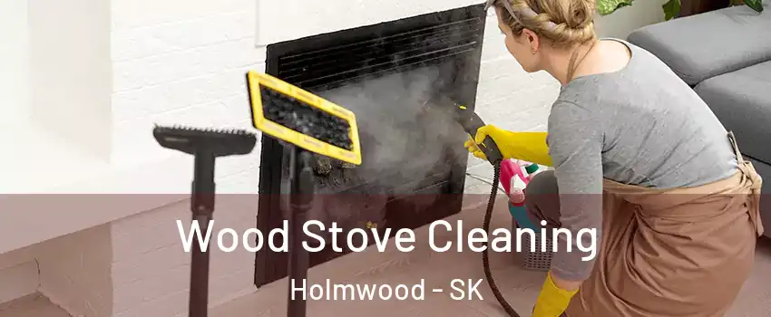  Wood Stove Cleaning Holmwood - SK