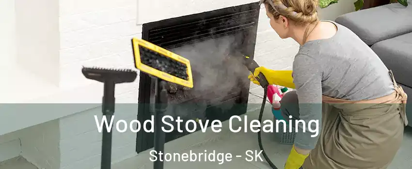  Wood Stove Cleaning Stonebridge - SK
