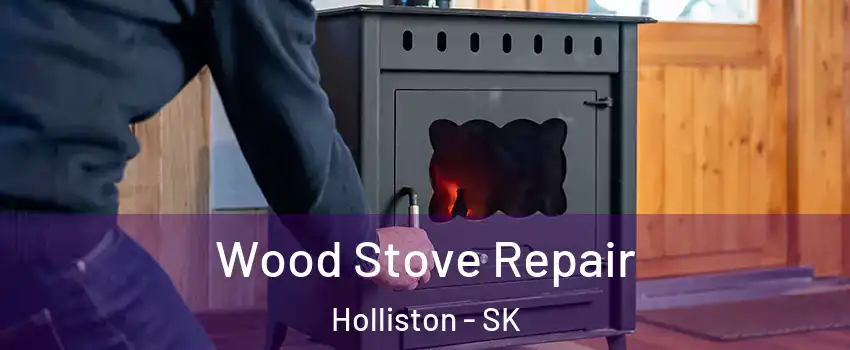  Wood Stove Repair Holliston - SK